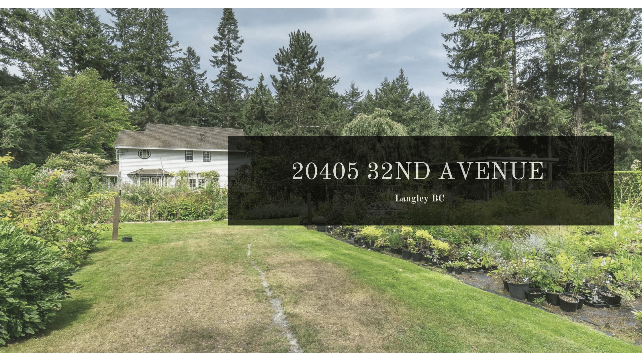 Amazing Investment Opportunity Alert!