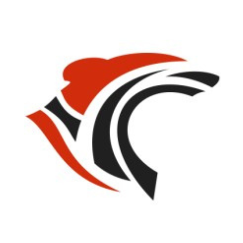 Roar Solutions Web Master SEO specialist